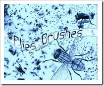 kerens_flies_brushes