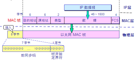 集线器/交换机