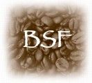 BSF脚本引擎‘改变’Bean