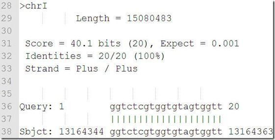 megaBlast_output_1