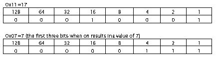 《Metadata Tables》第3章 MetaData Table Types