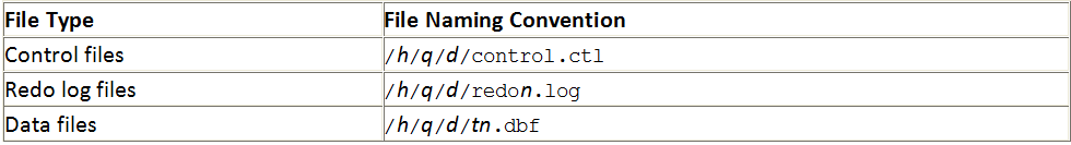 【标准】Oracle Optimal Flexible Architecture(OFA)简介_第6张图片