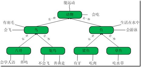 分类关系