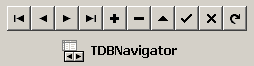 The 'old' DBNavigator