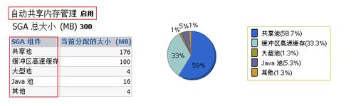 如何使用oracle内存指导