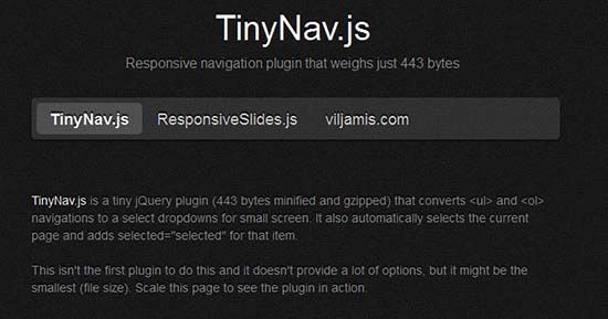 tinynav