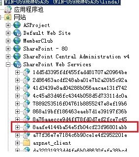 Sharepoint 站点页面错误问题