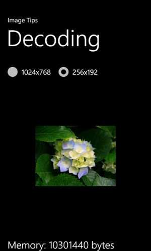 Image Tips for Windows Phone 7