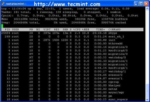 Top Command Example