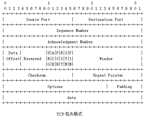 ipv4和tcp报头数据格式