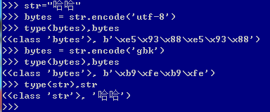 Python 3中bytes和str的分别
