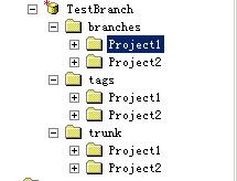 svn根据项目来创建目录结构或者根据分支来创建项目结构