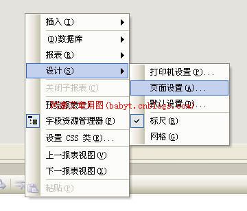 水晶报表纸型设定