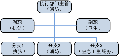 执行部门