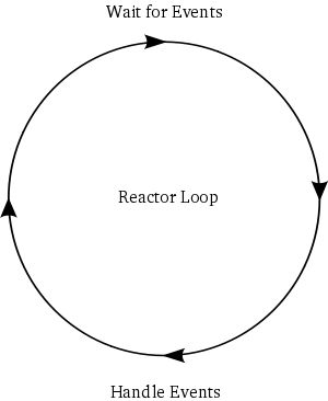 the reactor loop