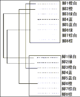 网线的做法