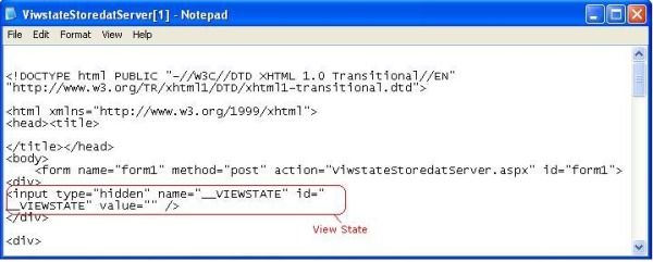 viewstateserver.JPG