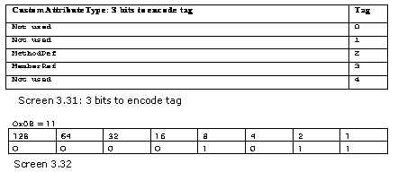 《Metadata Tables》第3章 MetaData Table Types