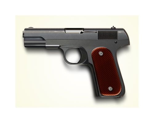 4-pistolicon的