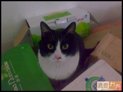 IHttpHandler的妙用（1）：给图片添加水印