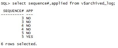 Linux 安装oracle10g 配置dataguard 介绍和步骤