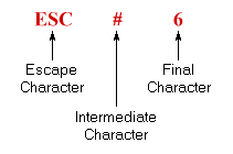 Terminal Control Commands (VT100)