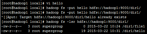 HDFS的shell操作