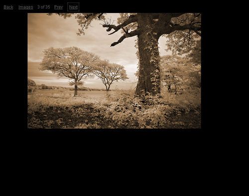Sliding Boxes and Captions with jQuery