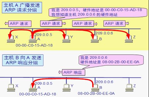 (网络层)IP 协议首部格式与其配套使用的四个协议(ARP,RARP,ICMP,IGMP)_第5张图片