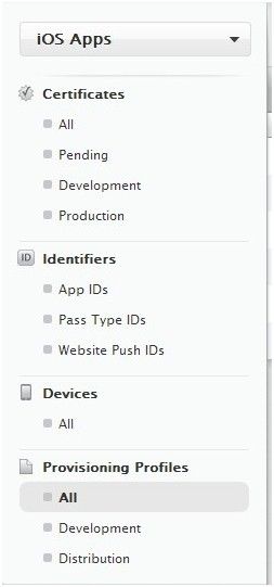 WebSphere MQ 入门指南