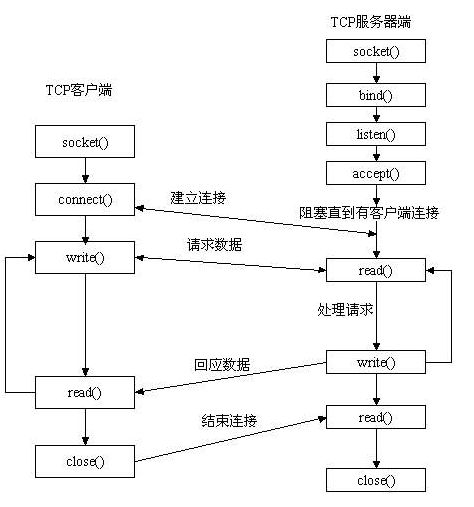 Linux C Socket编程原理及简单实例