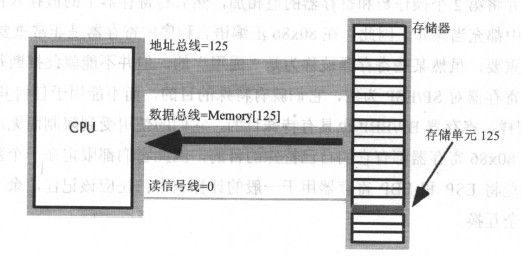 HLA高级汇编语言基础