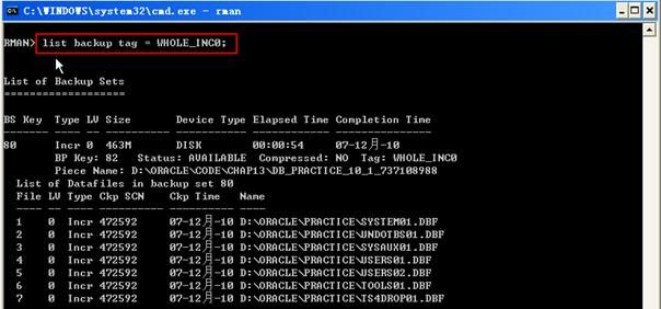 15.Oracle10g服务器管理恢复--目录维护(练习24.25.26)