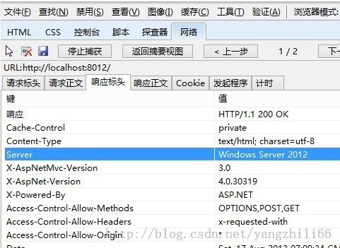 ASP.Net自定义重写Http Server标头