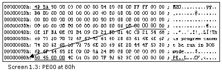 《Metadata Tables》第1章 The PE File Format