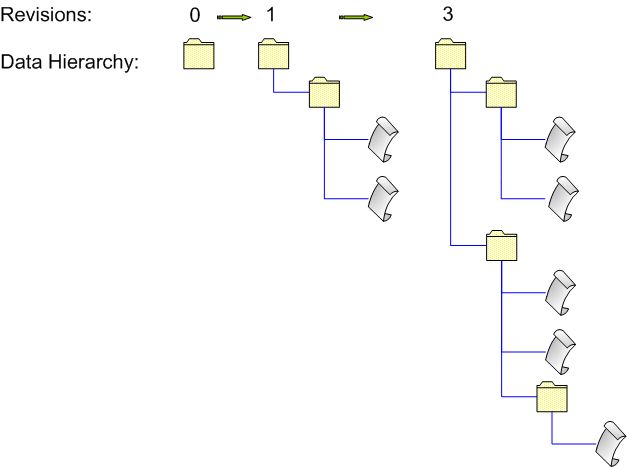 What is the Working Copy of SVN?