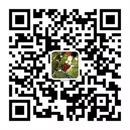 《Python基础教程》 读书笔记 第九章 魔法方法、属性和迭代器（上）