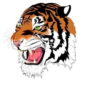 SVG Tiger