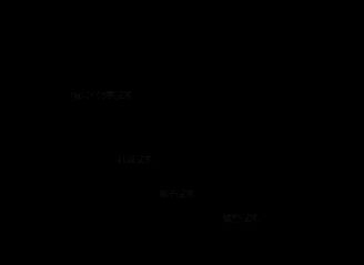 软件工程:对系统构架师的全面剖析