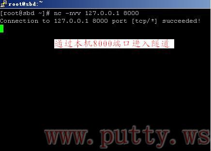 Putty建立隧道的方法