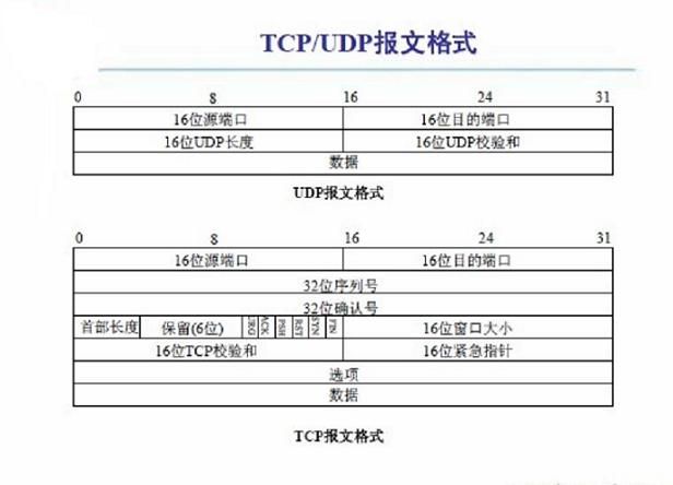 TCP/UDP报文格式