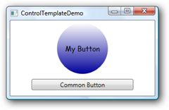 ControlTemplate1