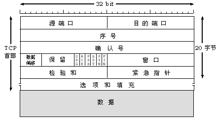 tcp报文格式