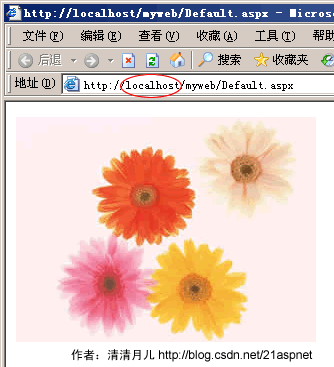 ASP.NET2.0雷霆之怒盗链者的祝福