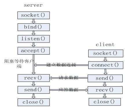 LInux下socket编程学习笔记