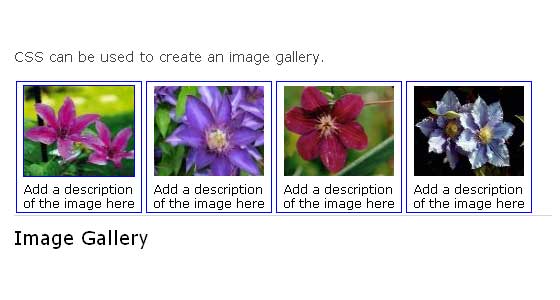 CSS Image Galleries