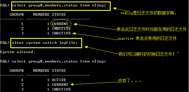 Oracle的体系结构