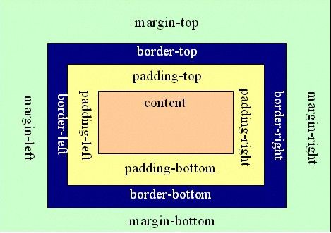 margin和padding的区别