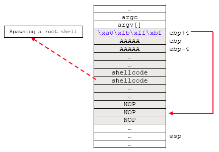 BUFFER OVERFLOW 10 Vulnerability & Exploit Example