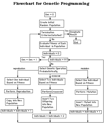 遗传算法—genetic algorithms